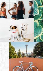 Photo of people in exercise clothes, dogs, bicycle and Seattle's space needle